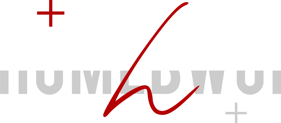 big-website-logo